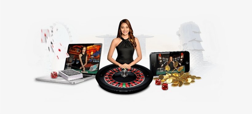 Discover the Best Crypto Roulette Where Fortune Meets Technology