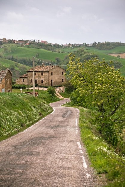 Chicken road gioco - La Vera Origine del Popolare Gioco d'Azzardo su Internet: Chicken Road in Italia